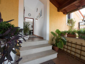 Apartments Villa Zara